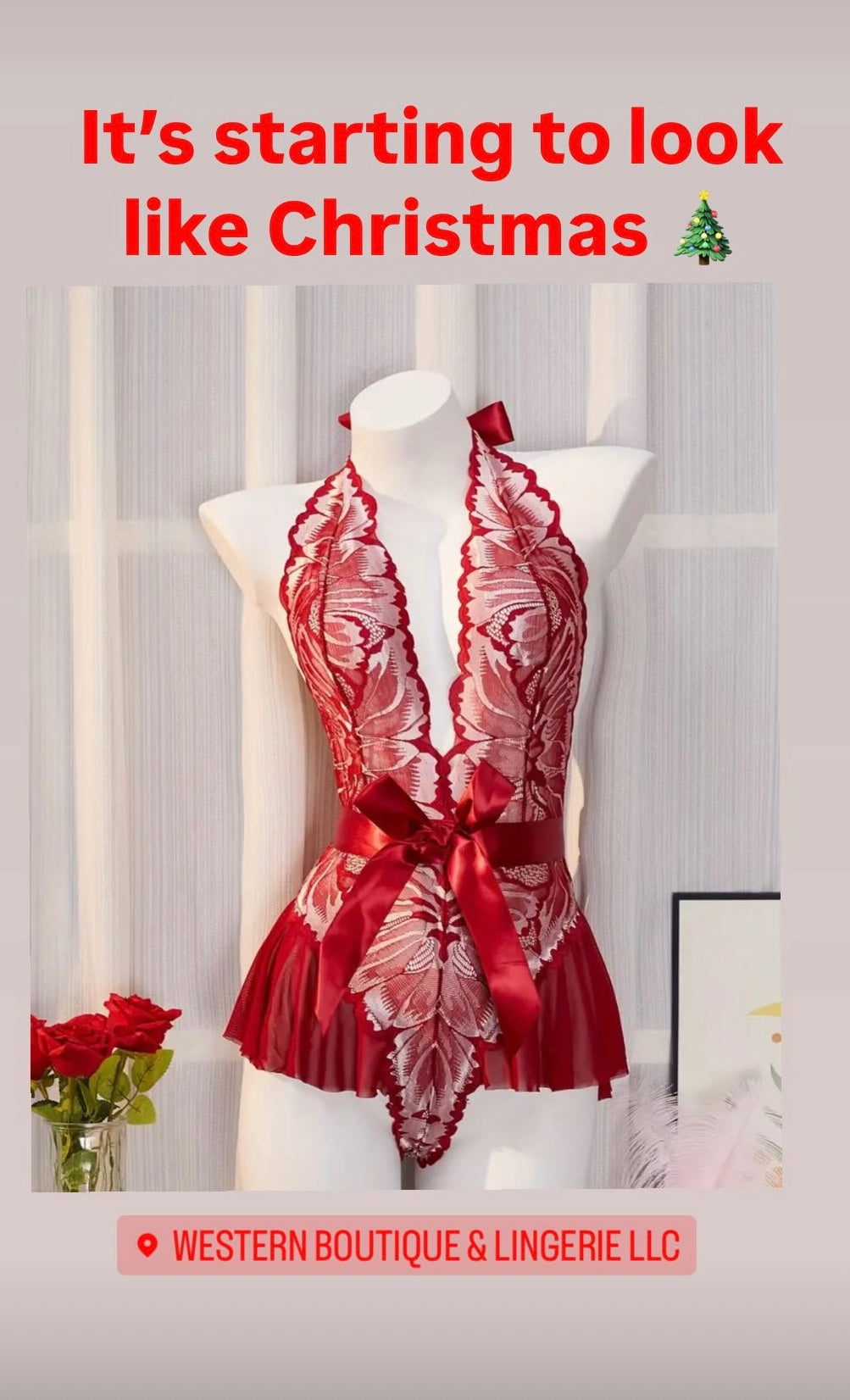 Red Ribbon & Lace Teddy